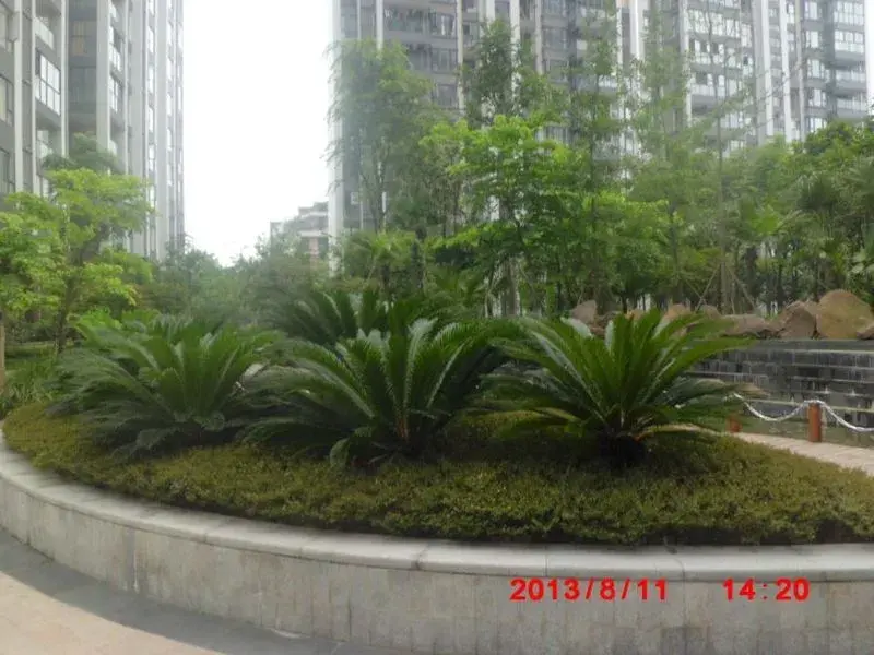 景茂城果2室1厅1卫南朝向3000.00元/月出租