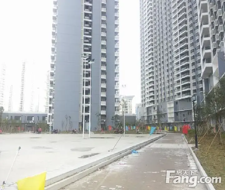 长湖路电梯高层全新豪装,123.56㎡大3房,3号线地铁口