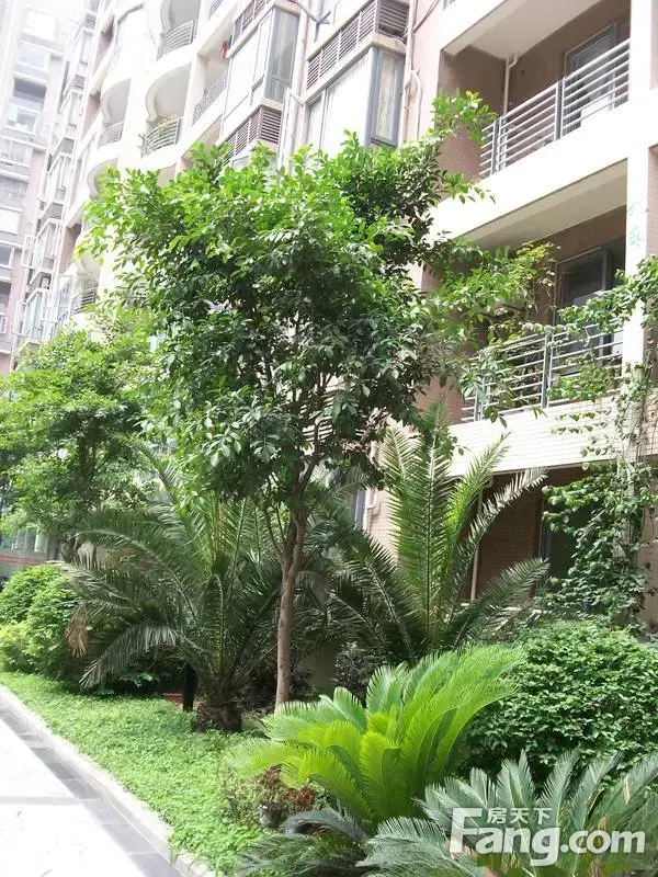 丽景华庭一期3室2厅3卫北朝向3800.00元/月出租