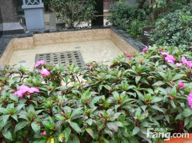 蓝光幸福满庭1室1厅1卫东南朝向1200.00元/月出租