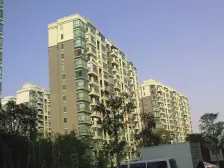 地铁社区《800平+迷死你大花园》 颜值(范冰冰)