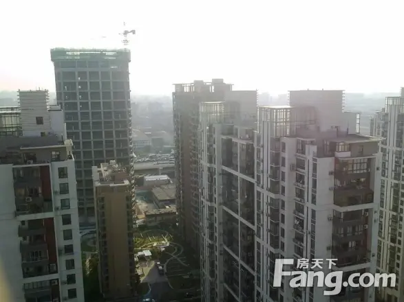 明园森林都市