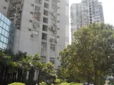 金鹏花园 2室2厅 南