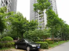 西区 金色池塘三房