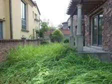 位置 好,采光户型好,业主诚心出售。