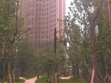 视野看保利高尔夫,户型通透,安静适合居住