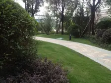 恒大帝景 2室1厅 东