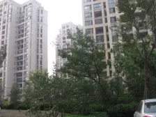 带车库,独栋别墅,主卧朝南,房型正气