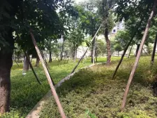 汽博中心 大众尚岭花园五房270万