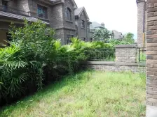 保税区 金科太阳海岸(别墅区)三房350万