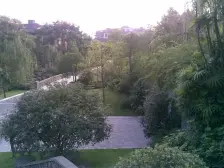 农业园区 常青藤四房