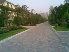 农业园区 常青藤五房1208万