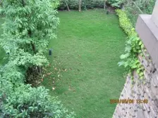 农业园区 常青藤五房