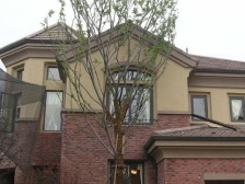 农业园区 常青藤五房