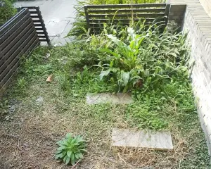 青城365宅院 3室2厅 西南