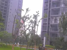 汽博中心 大众尚岭花园三房125万