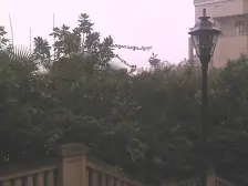 一期的小洋房,环境优美,板式通透户型