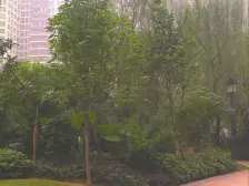 鸳鸯 融科海阔天空二期四房200万