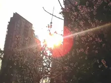 鸳鸯 融科海阔天空二期四房170万