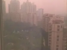 棕榈泉四期 3室1厅 东南