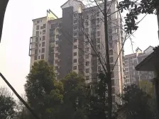 金科精装大3房,户型方正,环境优美安静