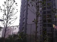 汽博安静两房,带入户书房。配套齐全