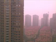 鸳鸯 复地品质小区 龙湖物业 清水三房 单价1万