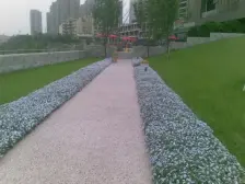 北麓原洋房顶跃纯板式 3/5号线美食街 轻轨站20米