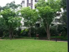 石马河 龙湖源著南区四房320万