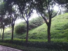 汽博清水联排中户,位置好采光好,带车位屋顶花园