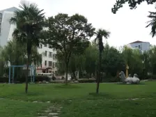 新出万兆全明两房,总价低看中可协商,满五税少自住