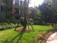 礼嘉天街旁板式小高,园区绿化丰富,成熟度高适合自住