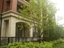 洋房别墅区,满五唯 一,2+1户型,视野采光好