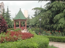 华泾·名人花苑·2室·1厅