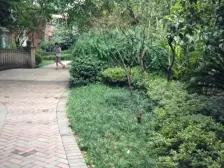 北部新区 爱加丽都四房