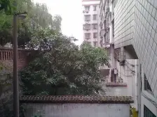 民主新街 3室1厅 东南