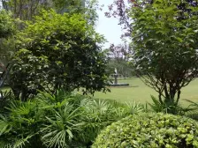 爱琴海商圈旁,大一室一厅,装修九成新,环境好