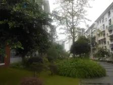 民主小区A2区 1室1厅 南