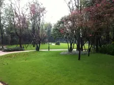 清水4房2卫,视野开阔,看公园。业主诚心