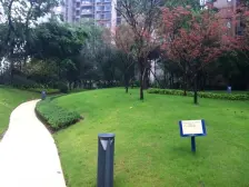 大竹林 龙湖江与城千山万树三房148万