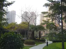 客厅朝南/环境优美/精装好房/一楼送花园