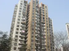 柏丽华庭 2室2厅 南