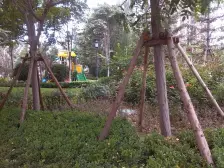 房子满五唯一,税费低,业主诚心出售,朝南,临地铁