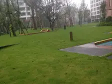 鸳鸯 中冶北麓原五房320万