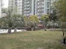 新出中高区2房+三轨交汇地--铁口+八万人体育场
