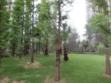 汽博中心 奥林匹克花园十期(御锦一期)四房206万