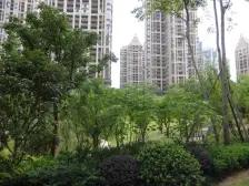 视野开阔,清水跃层,小区环境优美人车分流 物美价廉