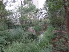 汽博中心 奥林匹克花园十期(御锦一期)四房188万