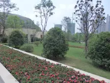 照母山光环旁顶跃精装洋房 业主诚心出售 配套完善