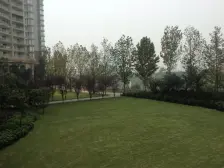 棕榈泉三期 3室2厅 西南